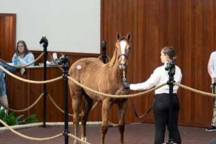 Taiba's Daughter Tops OBS January Winter Mix Sale, Leads Bayer Banner Day