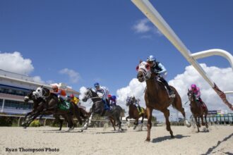 Download app from appStore