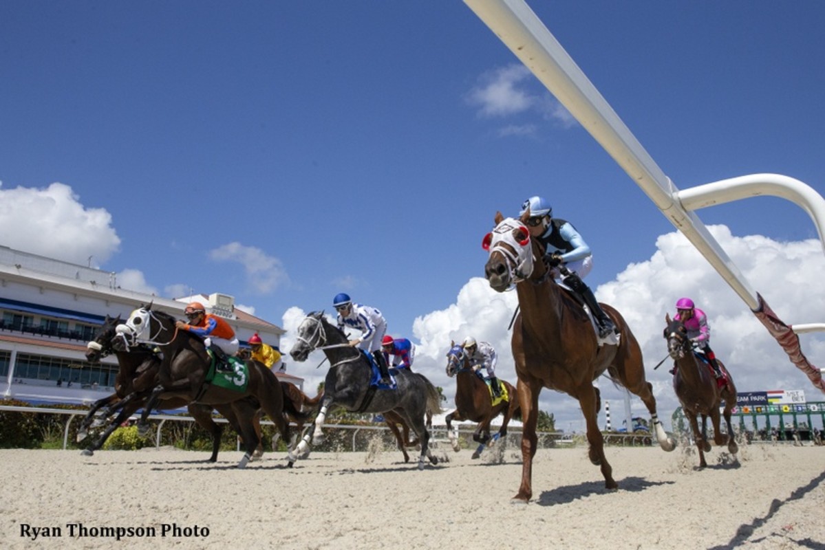 Download app from appStore