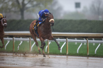 Download app from appStore