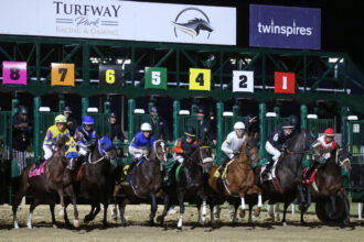 Download app from appStore