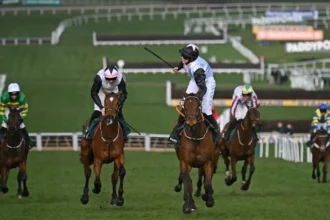 Download app from appStore