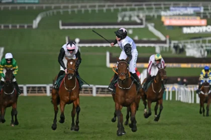 Download app from appStore