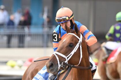 Download app from appStore