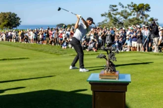 Download app from appStore