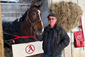 Download app from appStore