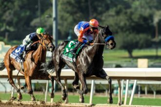 Download app from appStore