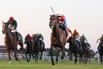 Download app from appStore