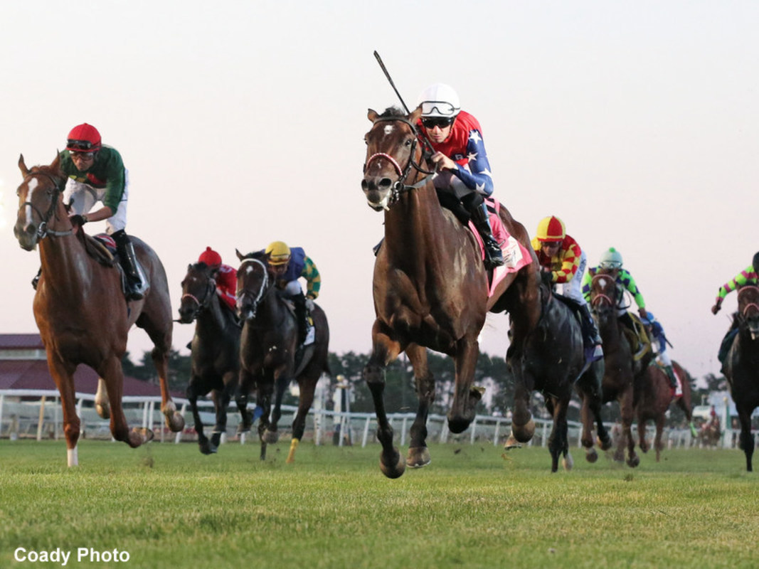 Download app from appStore