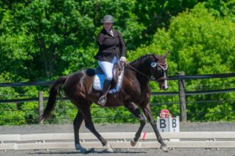 Yahoo lifestyle home