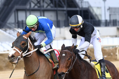 Download app from appStore