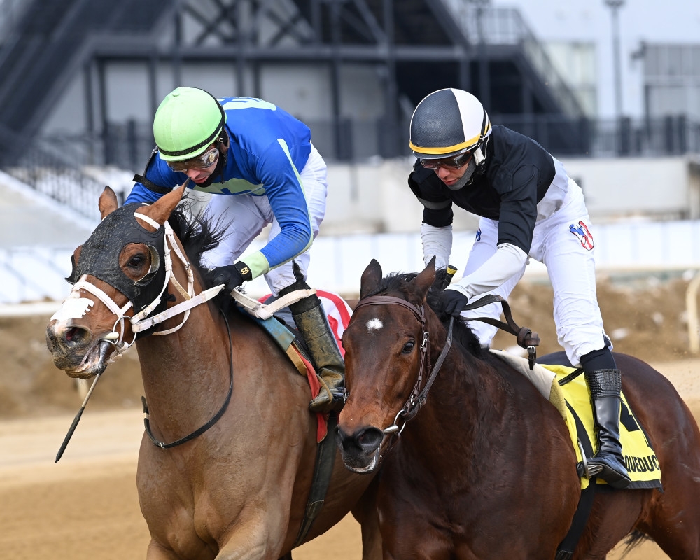 Download app from appStore