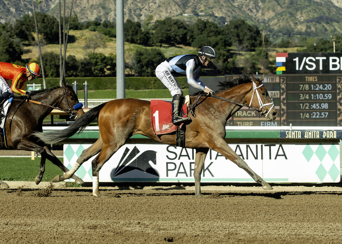 Download app from appStore