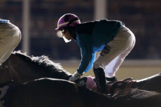 Download app from appStore