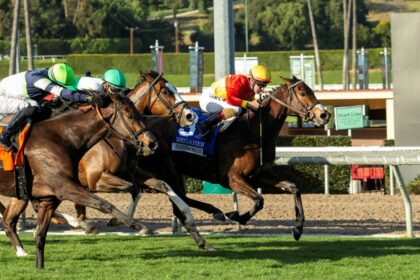 Download app from appStore