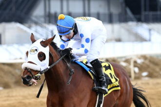 Download app from appStore