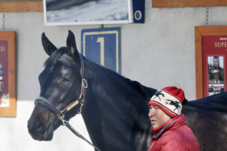 Download app from appStore