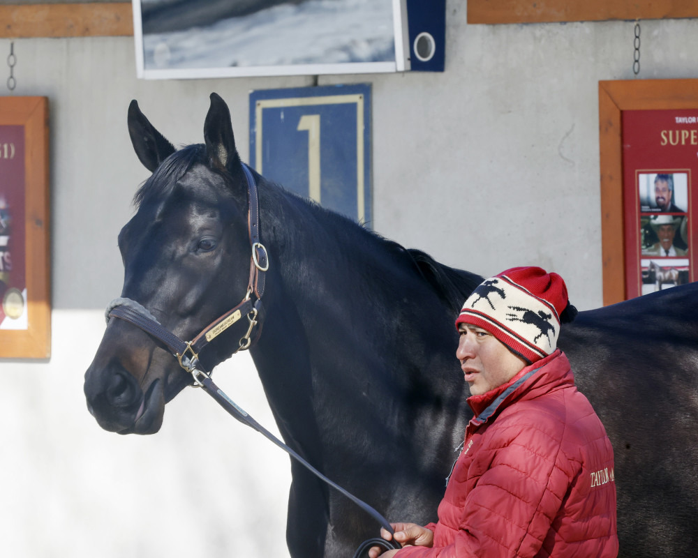 Download app from appStore