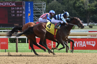 Download app from appStore