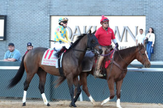 Download app from appStore