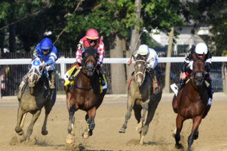 Download app from appStore