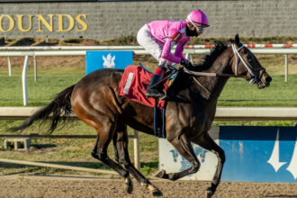 Download app from appStore