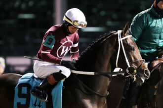 Download app from appStore