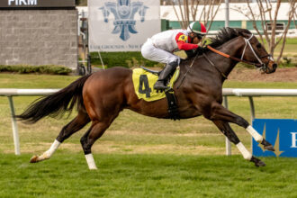 Download app from appStore