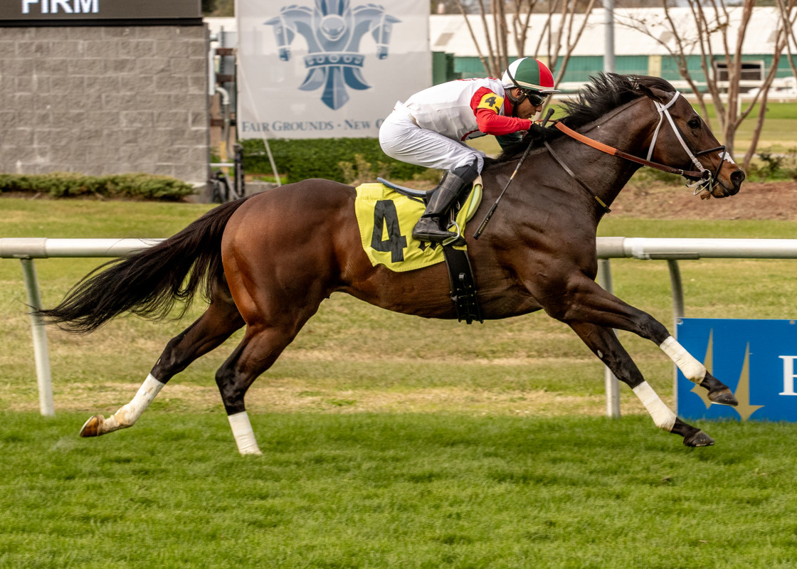 Download app from appStore