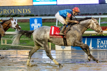 Download app from appStore