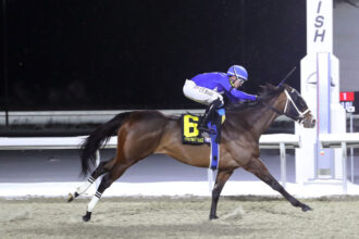 Download app from appStore