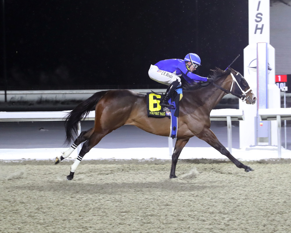 Download app from appStore