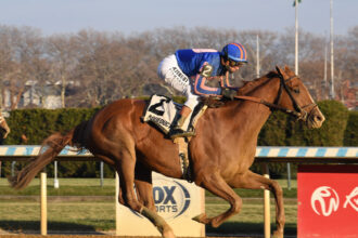 Download app from appStore