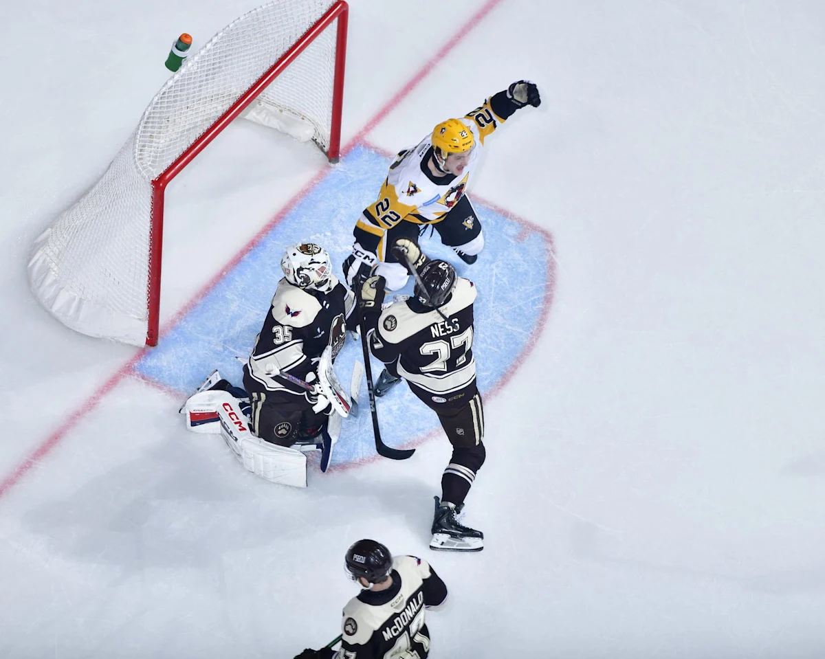 Download app from appStore