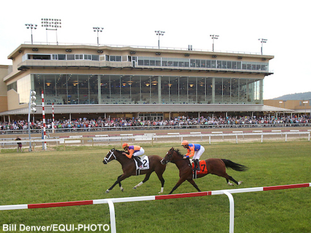 Download app from appStore