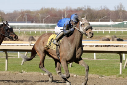 Download app from appStore