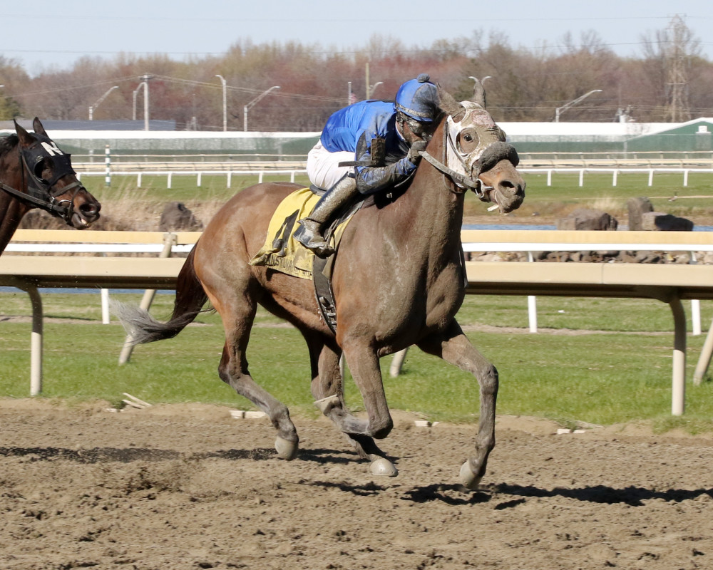 Download app from appStore