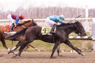 Download app from appStore