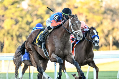 Download app from appStore