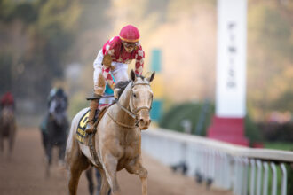 Download app from appStore