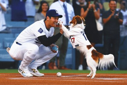 Dodgers superstar Shohei Ohtani writes children's book about his dog's decoys