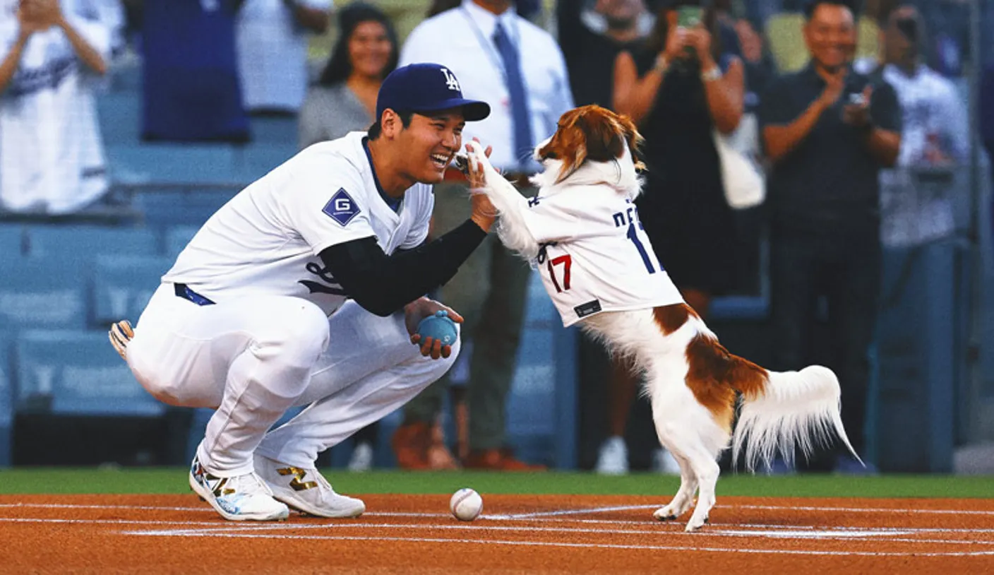 Dodgers superstar Shohei Ohtani writes children's book about his dog's decoys