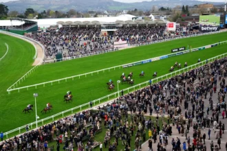 Download app from appStore