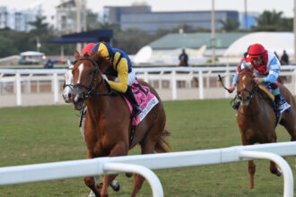 Download app from appStore