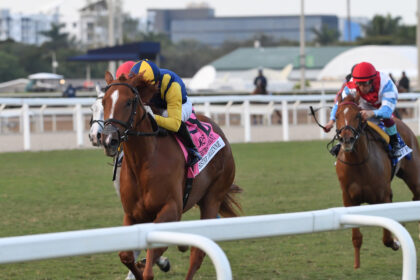 Download app from appStore