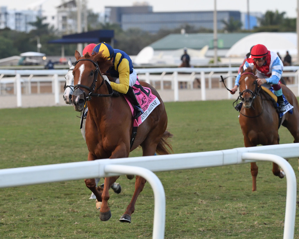 Download app from appStore