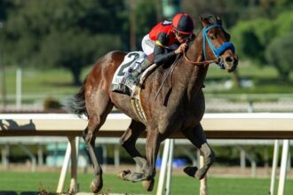 So Happy wins $200,000 in San Vicente Stakes under jockey Mike Smith
