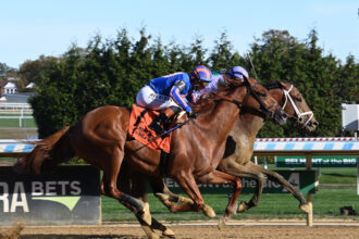 Download app from appStore