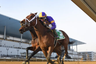 Download app from appStore