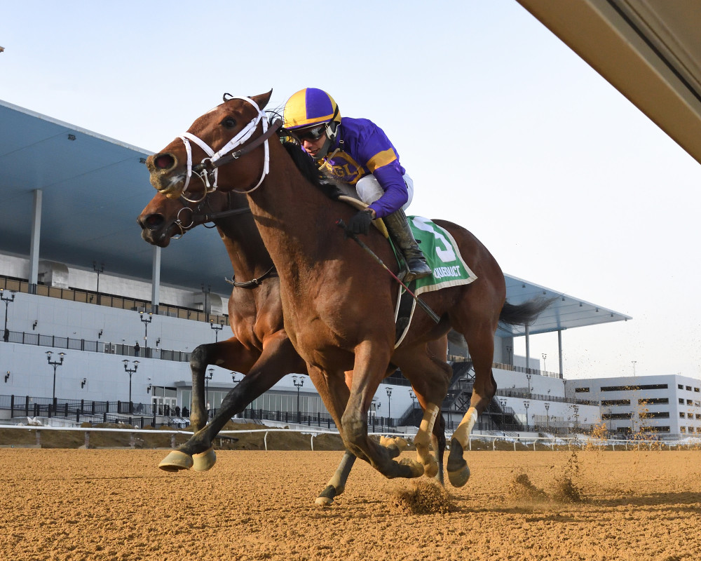 Download app from appStore